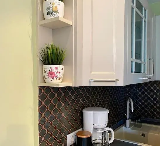 Downtown - Ultra With Park View *