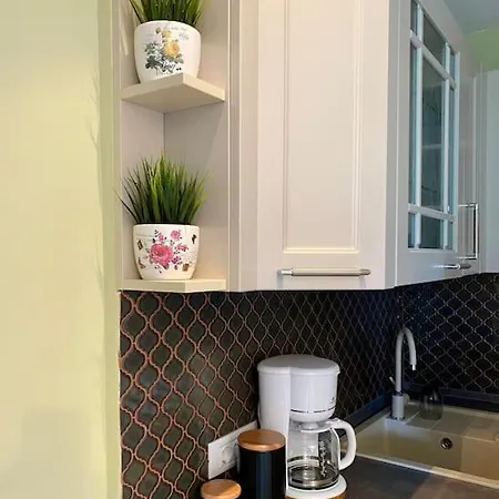 Downtown - Ultra With Park View *